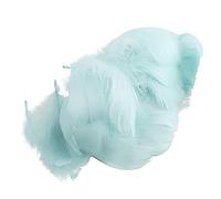 100 piume d'oca naturali per feste di nozze centrotavola bobo-palloncino riempito composizione floreale decorazione bobo-palloncini
