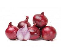 100 + PRISMA SCALOGNI Seed viola chiaro sapore Primavera/Autunno Giardino Contenitori