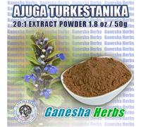100% Puro Ajuga Turkestanica Alta Potenza 20:1 Estratto 50 Grammi