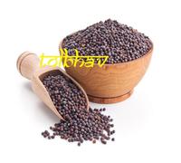 100% Puro e Naturale Interi Senape Seme Premium Migliore Qualità Spezie Da India