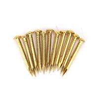 100 PZ Chiodo a Testa Tonda, Bocchetta in Ottone Perni da Muro Piccoli Chiodi Piccoli Cerniera per Mobili per Artigianato in Legno Fai da Te Decorativo (22 mm di lunghezza ispessito)