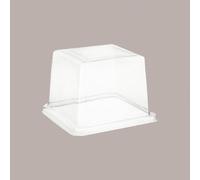 100 Pz Coperchio Mini Vassoio Quadrato Medorino 12x12H8 Alcas