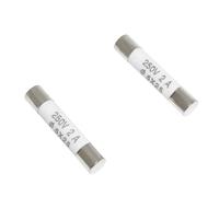 100 PZ Fusibile RO55 Tubo fusibile ceramico R055 250V 5A 6A 8A 10A 13A 5X25mm(10A)
