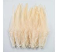 100 pz/lotto 10-15 cm piume di fagiano naturali piccole piume colorate per decorazioni artigianali
