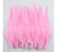 100 pz/lotto 10-15 cm piume di fagiano naturali piccole piume colorate per decorazioni artigianali