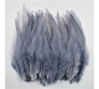 100 pz/lotto 10-15 cm piume di fagiano naturali piccole piume colorate per decorazioni artigianali