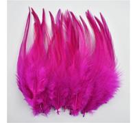 100 pz/lotto 10-15 cm piume di fagiano naturali piccole piume colorate per decorazioni artigianali