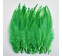 100 pz/lotto 10-15 cm piume di fagiano naturali piccole piume colorate per decorazioni artigianali