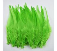 100 pz/lotto 10-15 cm piume di fagiano naturali piccole piume colorate per decorazioni artigianali