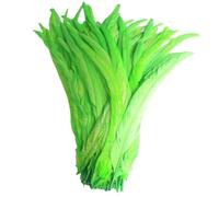 100 pz/lotto di tutte le dimensioni colorate piume di gallo per artigianato lungo Carnevale decorazione di nozze frutta En8 12-14 pollici 30-35cm