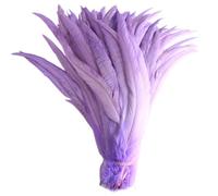 100 pz/lotto tutte le dimensioni colorate piume di gallo per artigianato lungo Carnevale decorazione di nozze 2237 10-12 pollici 25-30cm