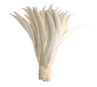 100 pz/lotto tutte le dimensioni colorate piume di gallo per artigianato lungo Carnevale decorazione di nozze bianco 10-12 pollici 25-30cm