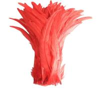 100 pz/lotto tutte le dimensioni colorate piume di gallo per artigianato lungo Carnevale decorazione di nozze rosso 10-12 pollici 25-30cm