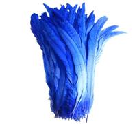 100 pz/lotto tutte le dimensioni colorate piume di gallo per artigianato lungo Carnevale decorazione di nozze blu reale 12-14 pollici 30-35 cm