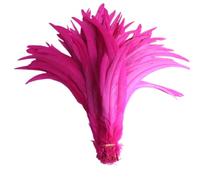 100 pz/lotto tutte le dimensioni colorate piume di gallo per artigianato lungo Carnevale decorazione di nozze rosa 12-14 pollici 30-35 cm