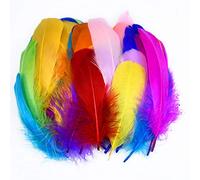 100 Pzi Piume Decorative Naturali Piume Colorate Piume Artigianali Piume d'oca di Colore Puro Miste Piume Multicolore per Fai da Te Cappelli Orecchino Costume Maschere Artigianato Feste Decorazioni