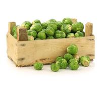 100 semi Catskill Brussel Sprout. Combo Nave, Heirloom, non-OGM:Seeds