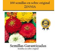 100 Semi da Zinnia Busta Originale Fiori Di Colori