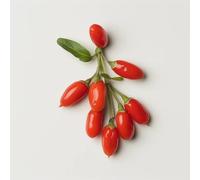 100 Semi di Goji - SemiSelvaggio Permacultura