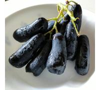 100 semi di uva nera da dito facile da coltivare, con alto tasso di germinazione, adatti per la piantumazione, pianta rampicante dolce tradizionale e non OGM, adatta per il giardinaggio all`aperto