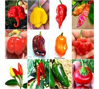 100 Semi Peperoncino In 10 Varietà Delle Più Gustose Del Mondo, COLLEZIONE CLASSICA + Guida Coltivazione: CAROLINA REAPER, SCORPION, JOLOKIA, HABANERO, PINK TIGER, TABASCO, JALAPENO e JAMAICAN