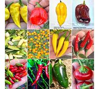 100 Semi Peperoncino nelle 10 Varietà Più Gustose Del Mondo, Collezione GOURMET + Guida: LEMON REAPER, AJI CHARAPITA, HABANERO, FATALII, VIAGRA-NATURAL, JALAPENO, CALABRESE, AJI LEMON, etc
