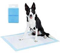 100 Tappetini Assorbenti per Cani 60x60cm Pannolini Igienici Tappeti Traverse
