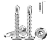 100 viti autofilettanti in acciaio inox 410, 5,5 x 19 mm, a testa piatta, viti a esagono incassato in acciaio inox con punta a esagono incassato, viti per facciate, viti in metallo, colore argento