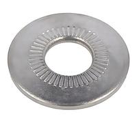 100 x 3650535 rondella dentata internamente M10 D=27 mm h=3,1 mm A2 acciaio i...