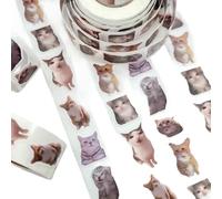 1000 adesivi divertenti con testa di gatto, adesivi con meme di cibo per gatti, adesivi con gatti carinissimi per diari, album di ritagli, computer portatili e artigianato fai-da-te