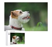 1000 PCS Puzzle Per Adolescenti Jack Russell Terrier Puzzle Per Adulti Giocattolo Decorazione Da Parete Un'opera D'arte Regalo Di Compleanno, Regali, 1000 PCS