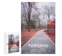 1000 PCS Puzzle Per Adolescenti Puzzle TORONTO 5 Puzzle Per Adulti Gioco Rompicapo Ma Divertente E Umoristico Aiuta L'esercizio Del Cervello 1000 PCS