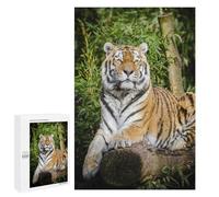 1000 PCS Puzzle Per Adolescenti Tiger Lying on Brown Tree Puzzle Per Adolescenti Gioco Rompicapo Migliora La Memoria Regali Di Natale Compleanno 1000 PCS