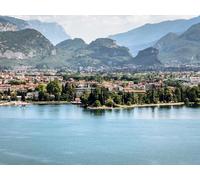 1000 Pezzi di Puzzle per Il Regalo di Giocattoli educativi per Adolescenti - Alberi di argine del lago 75x50cm