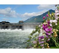 1000 Pezzi di Puzzle per Il Regalo di Giocattoli Educativi per Adolescenti - Diga del fiume montagne 75x50cm