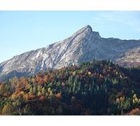 1000 Pezzi di Puzzle per Il Regalo di Giocattoli Educativi per Adolescenti - Foreste di pendio montano 75x50cm