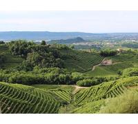 1000 Pezzi di Puzzle per Il Regalo di Giocattoli educativi per Adolescenti - Italia treviso paesaggio 75x50cm