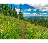 1000 Pezzi di Puzzle per Il Regalo di Giocattoli Educativi per Adolescenti - Montagne sentiero alberi 75x50cm
