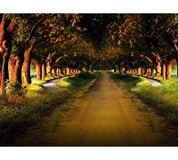1000 Pezzi di Puzzle per Il Regalo di Giocattoli Educativi per Adolescenti - Strada giardino viale 75x50cm