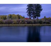 1000 Pezzi Jigsaw Puzzle,Adatto per la Decorazione di Natale - Alberi d'acqua del lago 75x50cm