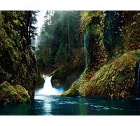 1000 Pezzi Jigsaw Puzzle for Adults & for Kids Age 14 Years Up - Gole cascate muschio 75x50cm