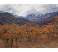 1000 Pezzi Jigsaw Puzzle for Adults & for Kids Age 14 Years Up - Montagne colline alberi 75x50cm