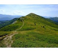 1000 Pezzi Jigsaw Puzzle for Adults & for Kids Age 14 Years Up - Montagne colline sentiero 75x50cm
