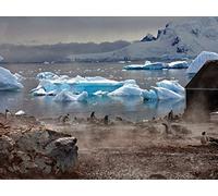 1000 Pezzi, Puzzle Adulti,per Adulti e Bambini dai 14 Anni - Iceberg antartide bianco 75x50cm