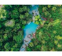 1000 Pezzi, Puzzle Adulti,per Adulti e Bambini dai 14 Anni - Vista dall'alto delle palme dell'isola 75x50cm