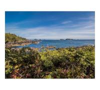 1000 Pezzi Puzzle, Divertimento per Adulti-Isola,Mare,Erba,Natura 70x50cm