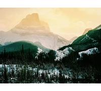 1000 Pezzi Puzzle Giocattoli Educativi - Montagne alberi di altopiano 75x50cm