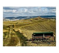 1000 Pezzi Puzzle,Idea Regalo Adulti-Campi,aratro,strada 70x50cm