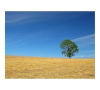 1000 Pezzi Puzzle,Idea Regalo Adulti-Campo,Economia,Fieno,Paglia,Preparazione,Estate,Albero 70x50cm