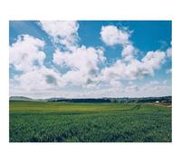 1000 Pezzi Puzzle,Idea Regalo Adulti-Campo,erba,orizzonte 70x50cm